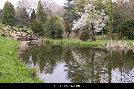 Kámoni Arborétm, Szombathely-stock-foto