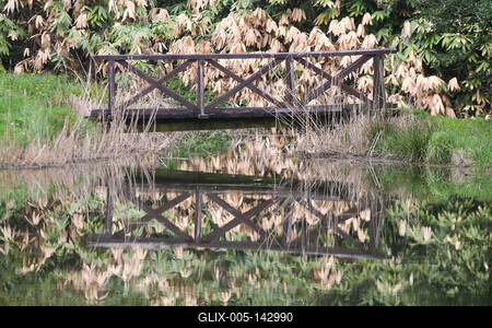 Kámoni Arborétm, Szombathely-stock-foto