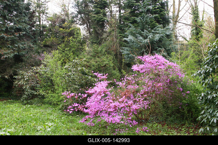 Kámoni Arborétm, Szombathely-stock-foto