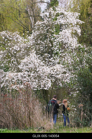 Kámoni Arborétm, Szombathely-stock-foto