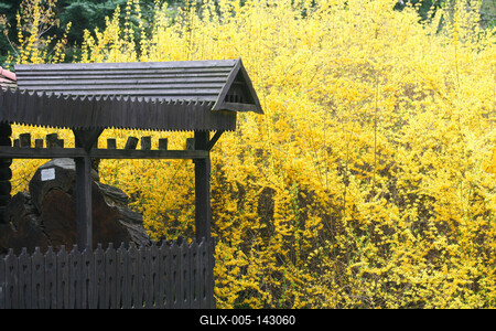 Kámoni Arborétm, Szombathely-stock-foto