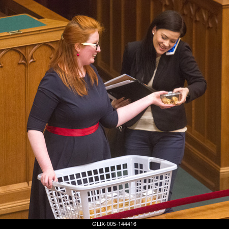 Politika - Országgyűlés-stock-foto