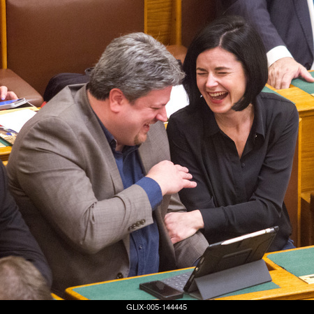 Politika - Országgyűlés-stock-foto