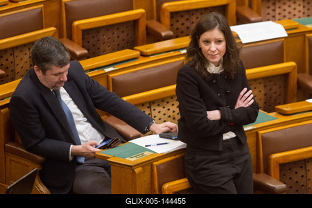 Politika - Országgyűlés-stock-foto