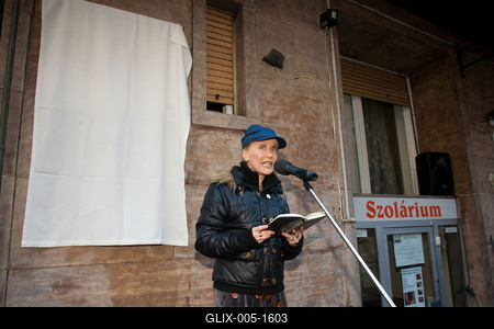 Kapás Dezső emléktábla-stock-foto