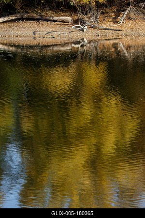 Õszi tájképek a Hárosi-öbölben.2021.11.11.Fotó:Vörös Szilárd-stock-foto