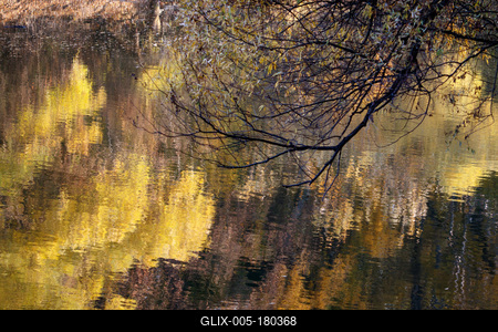 Õszi tájképek a Hárosi-öbölben.2021.11.11.Fotó:Vörös Szilárd-stock-foto