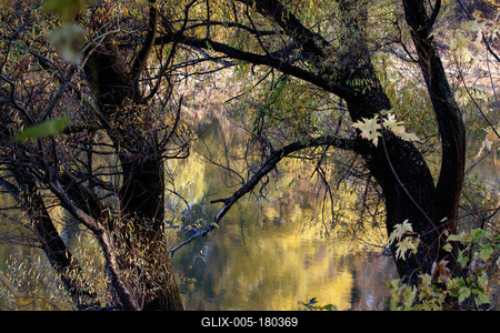 Õszi tájképek a Hárosi-öbölben.2021.11.11.Fotó:Vörös Szilárd-stock-foto