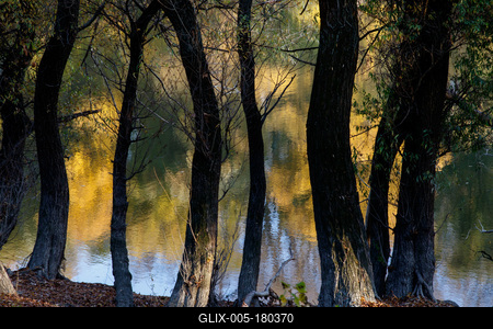 Õszi tájképek a Hárosi-öbölben.2021.11.11.Fotó:Vörös Szilárd-stock-foto