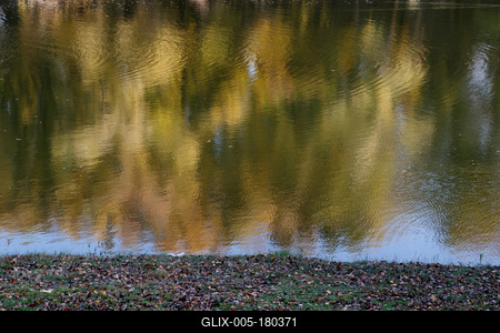 Õszi tájképek a Hárosi-öbölben.2021.11.11.Fotó:Vörös Szilárd-stock-foto