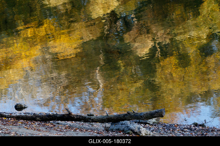 Õszi tájképek a Hárosi-öbölben.2021.11.11.Fotó:Vörös Szilárd-stock-foto