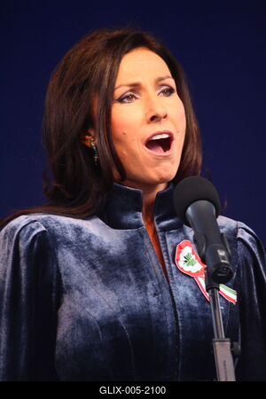 Március 15.-i megemlékezés a Batthyány örökmécsesnél-stock-foto