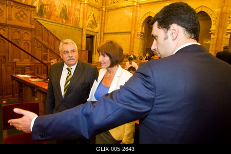 A parlamenti pártok meghallgatják a köztársasági elnök-jelölteket-stock-foto