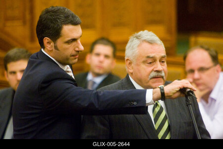 A parlamenti pártok meghallgatják a köztársasági elnök-jelölteket-stock-foto