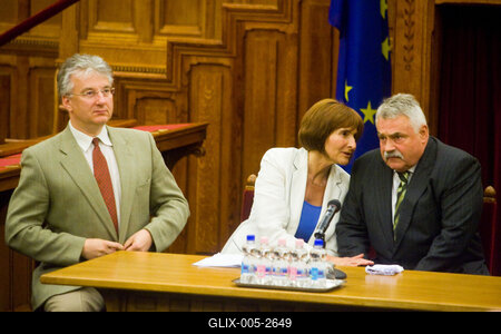 A parlamenti pártok meghallgatják a köztársasági elnök-jelölteket-stock-foto