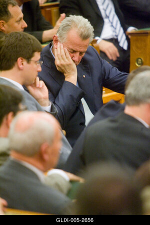 A parlamenti pártok meghallgatják a köztársasági elnök-jelölteket-stock-foto