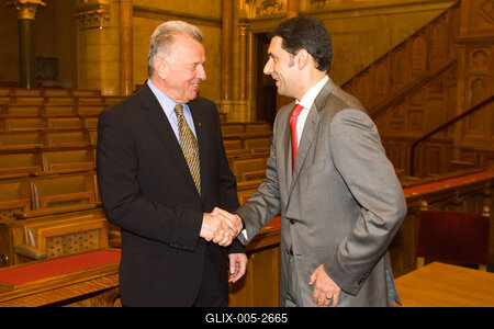 A parlamenti pártok meghallgatják a köztársasági elnök-jelölteket-stock-foto