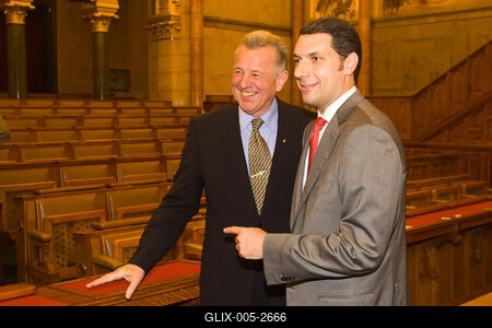 A parlamenti pártok meghallgatják a köztársasági elnök-jelölteket-stock-foto