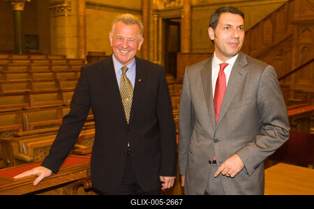 A parlamenti pártok meghallgatják a köztársasági elnök-jelölteket-stock-foto