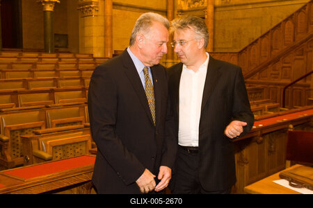 A parlamenti pártok meghallgatják a köztársasági elnök-jelölteket-stock-foto