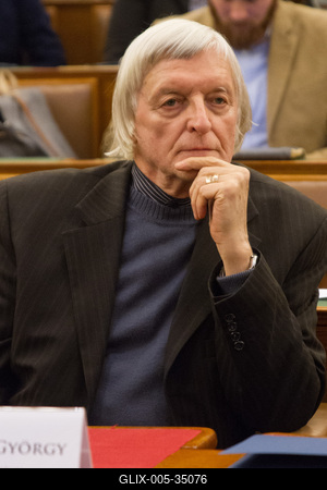 Konferencia a Parlamentben-stock-foto