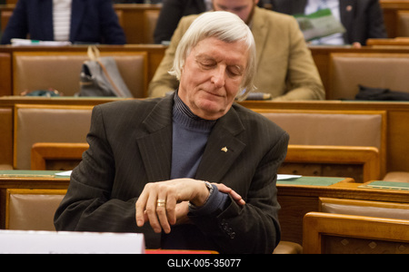 Konferencia a Parlamentben-stock-foto