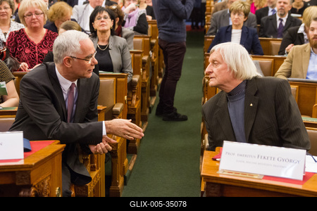 Konferencia a Parlamentben-stock-foto