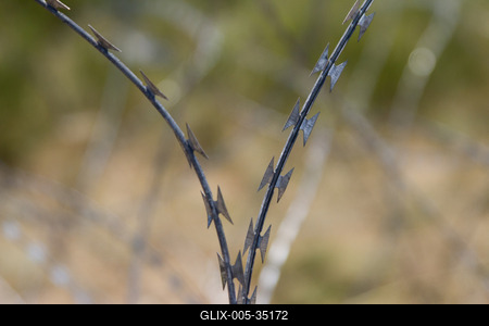 Drótkerítés épül Magyarország déli határán-stock-foto