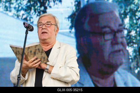 Pozsonyi Piknik 2013-stock-foto