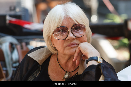 Pozsonyi Piknik 2013-stock-foto