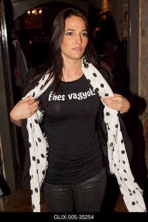 Gasztronómiai bemutató a Symbol étteremben-stock-foto