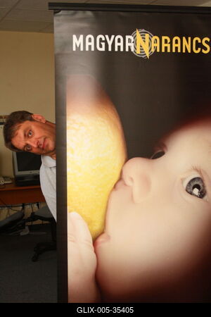 Bojtár B. Endre-stock-foto