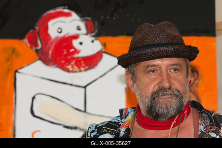 Hogyan viselkednek a majmok - Sziget-stock-foto