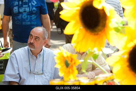 Pozsonyi Piknik-stock-foto