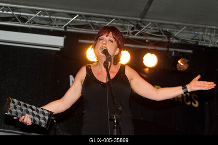 Pozsonyi Piknik-stock-foto