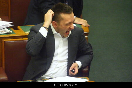 Országgyűlés-stock-foto