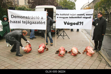 Tejtermelők demonstrációja-stock-foto