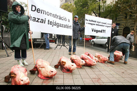 Tejtermelők demonstrációja-stock-foto