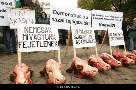Tejtermelők demonstrációja-stock-foto