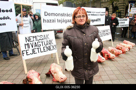 Tejtermelők demonstrációja-stock-foto