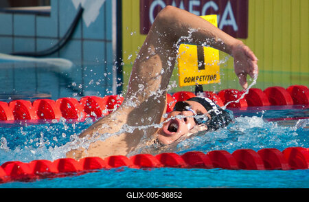 Úszó Európa-bajnokság-stock-foto