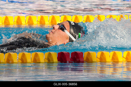 Úszó Európa-bajnokság-stock-foto