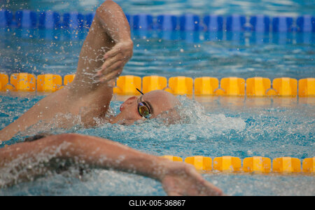 Úszó Európa-bajnokság-stock-foto