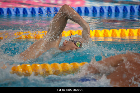 Úszó Európa-bajnokság-stock-foto