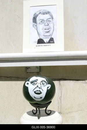 Portréképek görögdinnyén-stock-foto