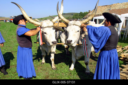 Felállították a palócok keresztjét Herencsényben-stock-foto