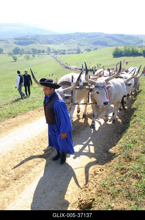 Felállították a palócok keresztjét Herencsényben-stock-foto