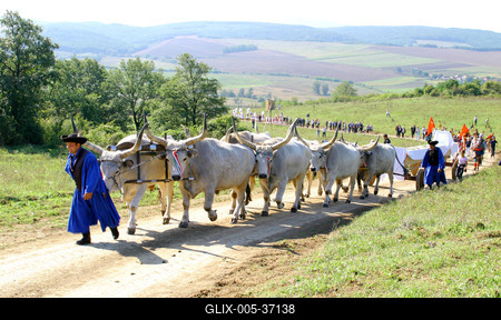 Felállították a palócok keresztjét Herencsényben-stock-foto