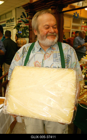 Sajtok enciklopédiája-stock-foto