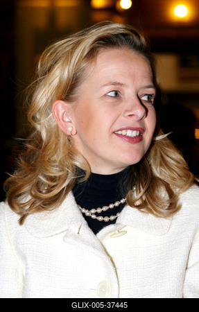 A kulturális miniszter megnyitotta a Van Gogh-kiállítást-stock-foto